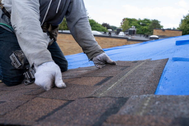 Best Roof Leak Repair  in Bemidji, MN