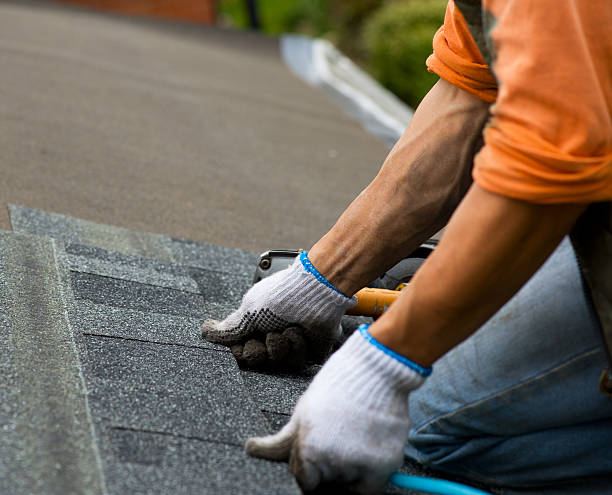 Best Residential Roofing Contractor  in Bemidji, MN