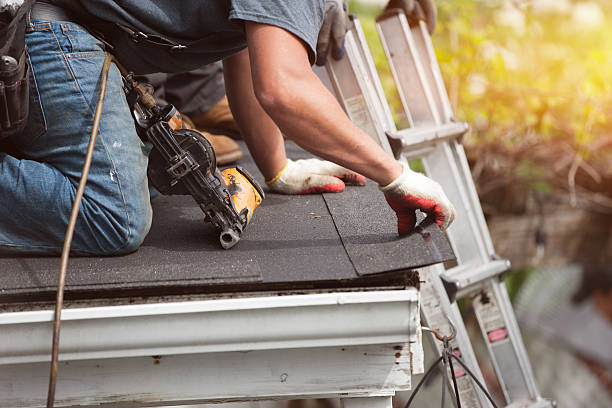 Best Roof Maintenance Services  in Bemidji, MN